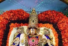 A Dark Night In Bombay,A Divine Mother And An Amazing Cosmic Drama-Conclusion